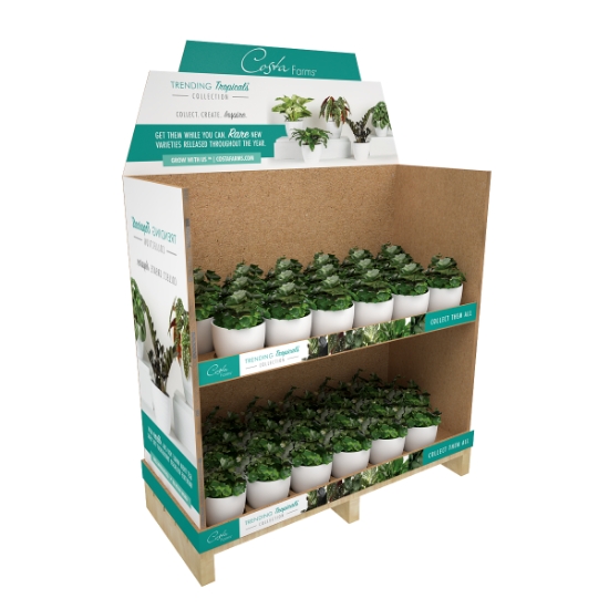 Cardboard display Costa Farms details